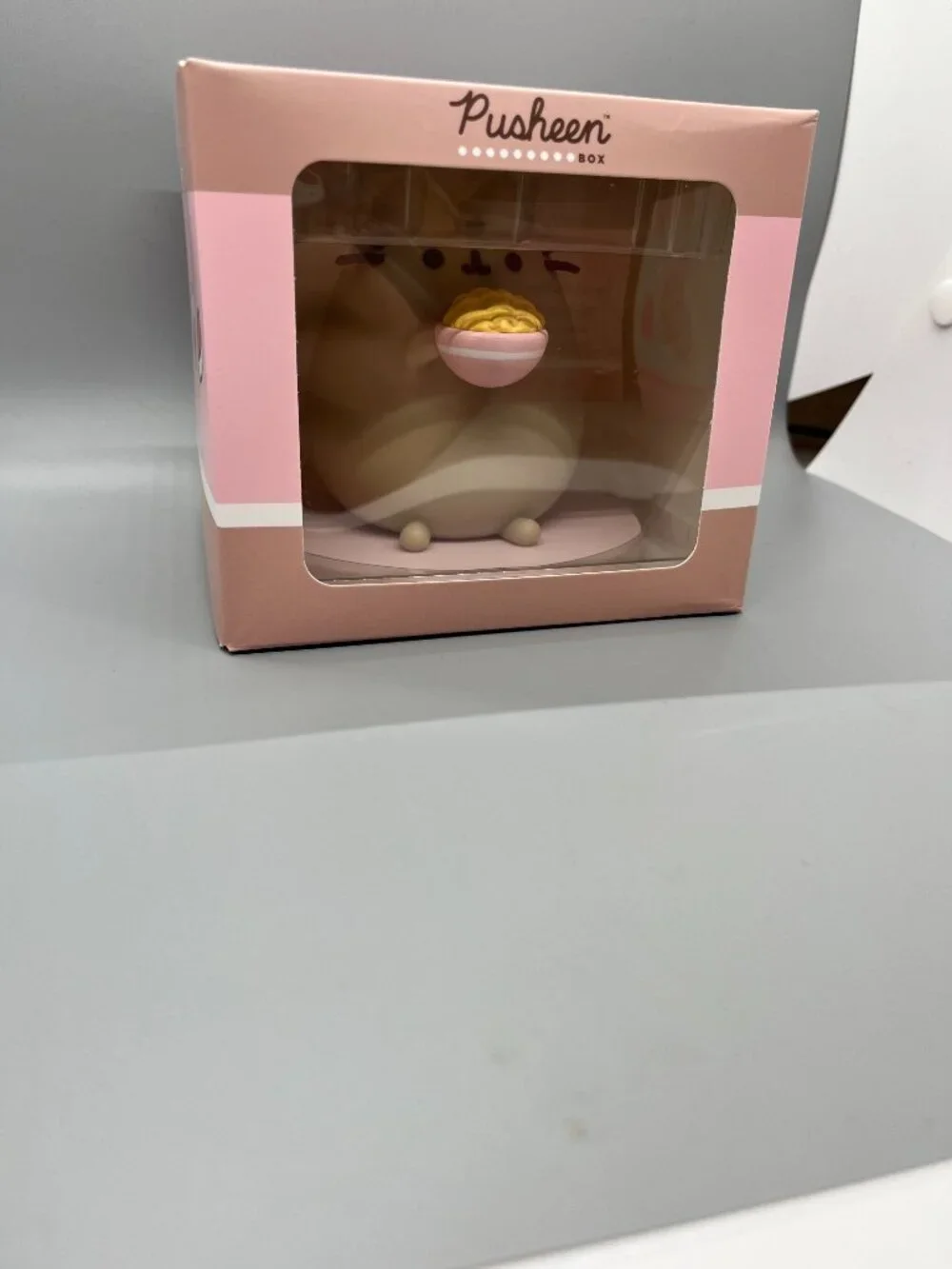 NIB Exclusive Pusheen with Ramen Vinyl Figure from Spring 26 Pusheen Box
